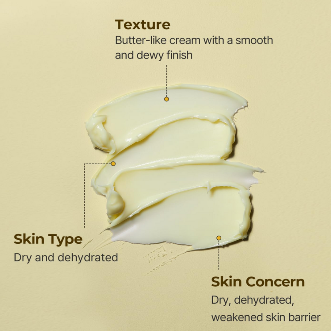 Torriden SOLID IN Ceramide Cream 70ml